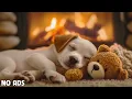 Download Lagu 12 HOURS of Dog Relaxing Music For Dogs🐶💖Anti Separation Anxiety Relief Music🦮Sleep dog Healing🎵
