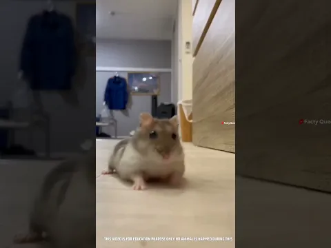 #bts