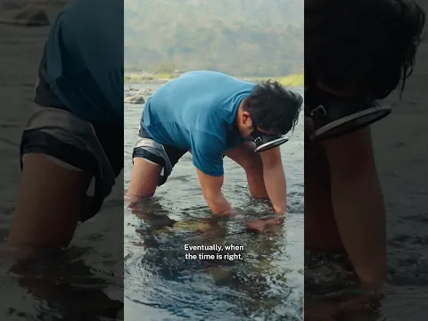 SUSTAINABLE FISHING IN ILOCOS