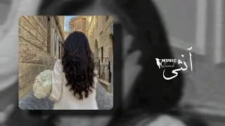 انثى بطيء   بيغ سام   سيلاوي            دندنها