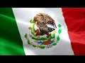 MFP Mexico Flag 3 Hrs Long
