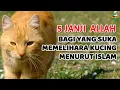 Download Lagu 5 Janji Allah Bagi Yang Suka Memelihara Kucing #kucing #islam