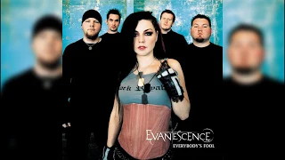 Download Evanescence - Everybody's Fool (Single) MP3