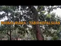 Download Lagu RHOMA IRAMA - TABIR KEPALSUAN || [ LIRIK LAGU ] OFFICIAL LYRIC VIDEO MUSIC MP3 ||
