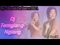 DJ Viral Tiktok Terngiang - Ngiang X Anjing Anjing Banget | REMIX FULL BASS TERBARU 2021
