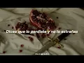 Manía Cardiaca - Enjambre//Letra