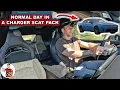 What It s Like to LIVE With a 2026 Dodge Charger Scat Pack POV