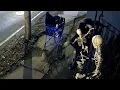 Stolen skeleton sparks talk of shopping cart ban on Watertown property