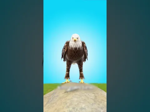 #bts