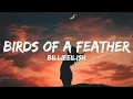 Download Lagu Billie Eilish - BIRDS OF A FEATHER (Lyrics)