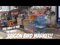 Download Lagu Saigon Bird Market Ho Chi Minh City District 5 - This Video Is Strictly For The Birds!