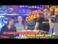 Download Lagu OT ARSA | FDJ YULI CARLA ❗ DJ BERSAMA BUKAN MAUMU ❌DJ ULAR COBRA🐉 ❗ REMIX TERPOPULER 2023