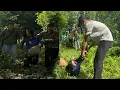Download Lagu Officer Thuan and his colleagues rescued a woman in distress on the road from the hands