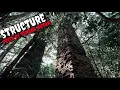 Download Lagu Penemuan Monumen Jepun Di Hutan Tanjung Sekijang | Reka Bentuk yang penuh misteri | RARE