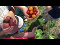 Boondock Farms