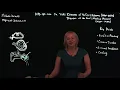 ICD-10-CM Coding Eyes and Ears H00-H59 H60-H96