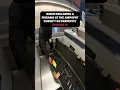 When Declaring Firearms At The Airport Doesn t Go Perfectly Episode 13