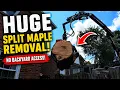 Huge Maple Tree Removal Between Two Houses BIK-104 Grapple Saw Crane