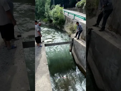 تركيب لوح خشبي يدوياً لمنع تدفق المياه من تحويل مجرى النهر