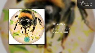 Download Brackles \u0026 Shortstuff - Broken Harp (Pollen | POLLEN12001) [Dubstep] MP3