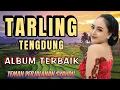 Download Lagu TARLING TENGDUNG PERJALANAN SPESIAL DI WAKTU SORE YANG CERAH