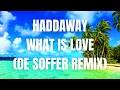 PALM BEACH PARTY ☀️ Disco House Summer Mix 2026 🌴 4K Ultra HD Tropical Visuals | DJ Set 26