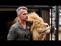 Download Lagu LION REUNION - Kevin Richardson's Unique Bond | The Lion Whisperer