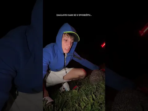 ZAGLAVIO SAM SE U DVORIŠTU..