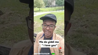 How Can I Say I Love You In Fulani Fulfulde Shorts Subscribe 