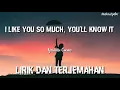 Download Lagu I Like You So Much, You'll Know It - Ysabelle Cuevas, lirik dan terjemahan