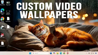 Use Live Animated Desktop Background Wallpapers on Your Computer with MyLiveWallpapers