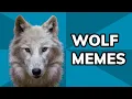 How Wolves Dominate The Meme World From DeviantArt To Three Wolf Moon Meme History