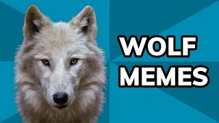 How Wolves Dominate The Meme World From DeviantArt To Three Wolf Moon Meme History