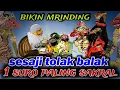 Download Lagu Goro-goro paling rame bulan suro💫bikin mrinding ki seno nugroho@Sindenlucu82