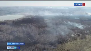 Лесхоз круглые сутки тушит возгорания в Называевском районе