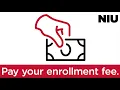 NIU Next Steps Declare yourself an Huskie How to pay your enrollment fee