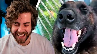 24 minutos de memes do reddit fora de contexto