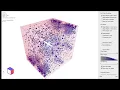 Visualizing Dynamic Networks with Matrix Cubes