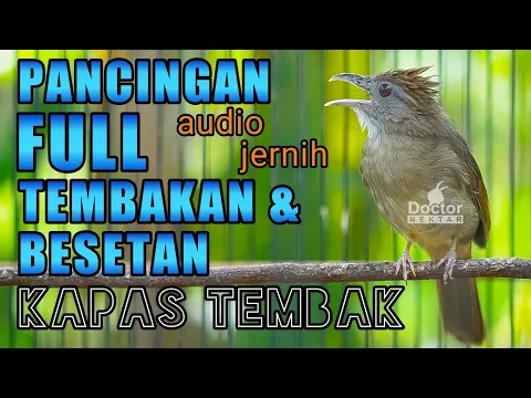 Download MP3 KAPAS TEMBAK KATEM FULL BESETAN DAN TEMBAKAN COCOK UNTUK PANCINGAN DAN MASTERING