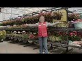 Take a Tour of the Garden Center at Tractor Supply