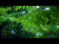 Download Lagu [명상음악] 단 10분! 스트레스·불면·통증까지 사라지는 기적의 치유 음악