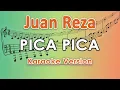Download Lagu Juan Reza - Pica Pica (Karaoke) by regis