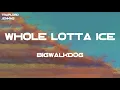 BigWalkDog - Whole Lotta Ice (feat. Lil Baby & Pooh Shiesty) (Lyrics)