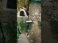 Download Lagu MINDO 🇪🇨 ECUADOR 2024, ven, visita y disfruta de la naturaleza de este hermoso país #mindo