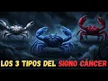 LOS 3 TIPOS DEL SIGNO CÁNCER 🦀 ¿CUÁL DE ELLOS ERES TÚ SEGÚN TU CUMPLEAÑOS?