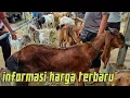 Download Lagu REVIEW HARGA KAMBING DI PASAR TERPADU TULUNGAGUNG.