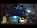Download Lagu Camping di muara sungai tengah hutan, menjaring ikan untuk makan malam \u0026 tidur nyenyak sampai pagi