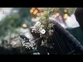 Magical Outdoor Party Decor | Shop The Look | eFavormart.com