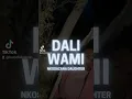 Download Lagu Dali Wami (Trumpet Remix) - Lexican