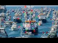 Download Lagu Free Palestine Gaza Sumud Flotilla Freedom Song